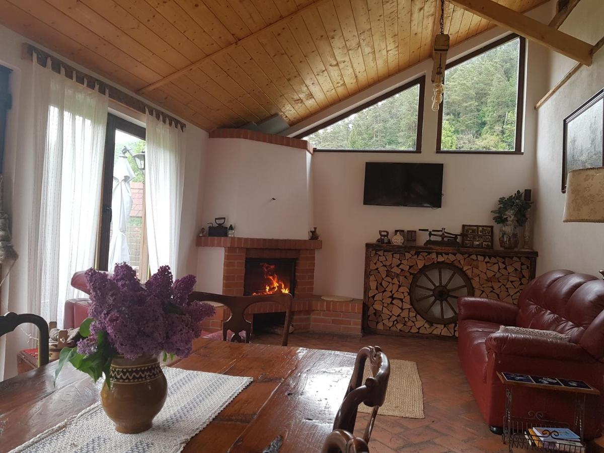 Sura Lu' Vasile. Acomodação com café da manhã Crivina  Exterior foto