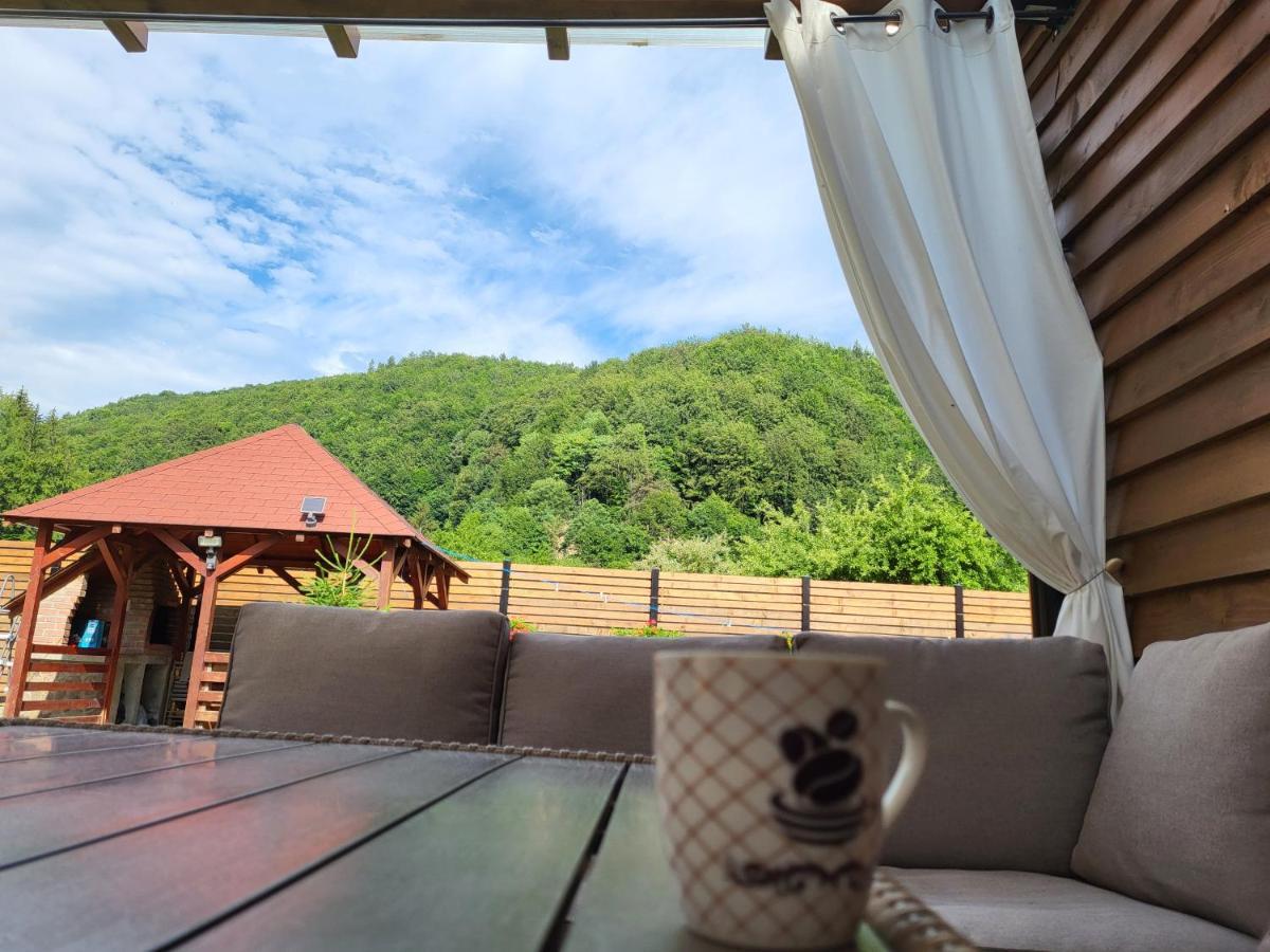 Sura Lu' Vasile. Acomodação com café da manhã Crivina  Exterior foto